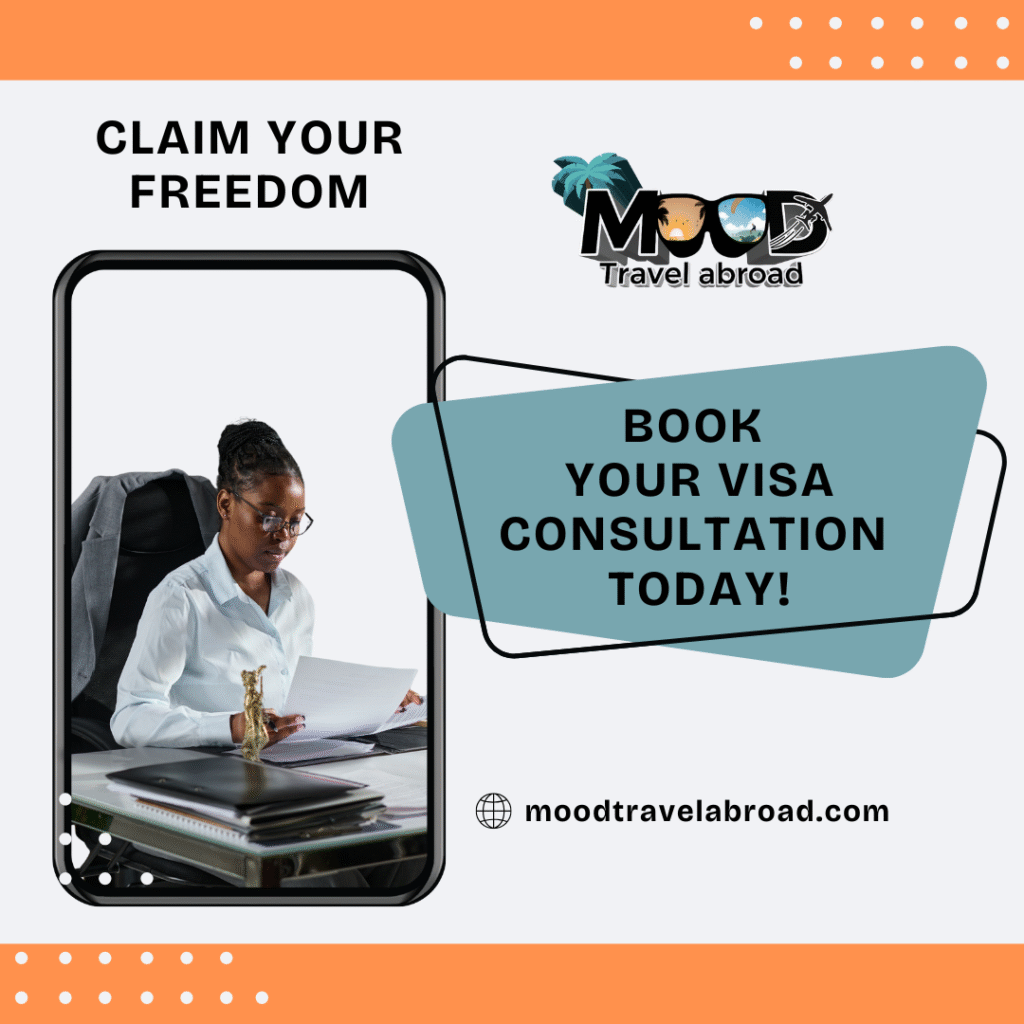 Visa Consultation